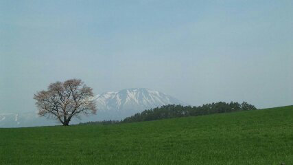 吟じますさん