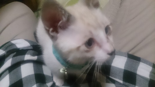 まぁぁこさん