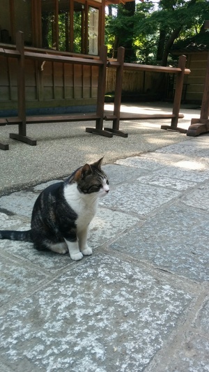 けんたさん