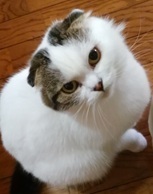 M���D�m���b�N����