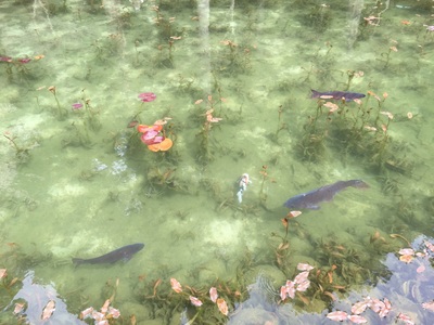 ナベちゃんさん