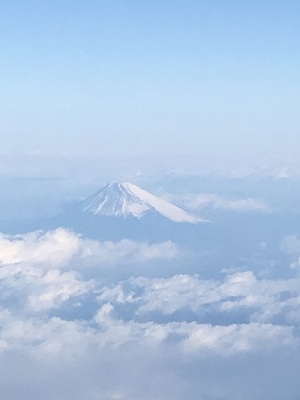 みーさん