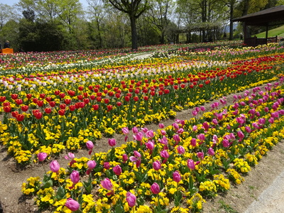 �t�����[����