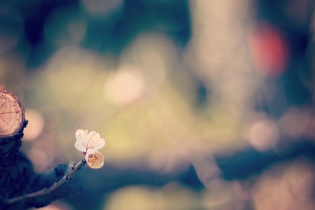 ���Ђ���